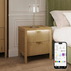 Dakota Bedside Table with Two Drawers and App Controlled LED Lights - Wild Oak - XR LivingBedside Table