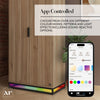 Denver 2 Door Wardrobe With App Controlled LED Lights - Oak / Black - XR LivingFurniture