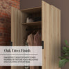 Denver 2 Door Wardrobe With App Controlled LED Lights - Oak / Black - XR LivingFurniture
