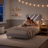 Lily Single Bed Frame with App Controlled LED Lights - Grey - XR LivingBed Frame