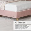Lily Single Bed Frame with App Controlled LED Lights - Pink - XR LivingBed Frame
