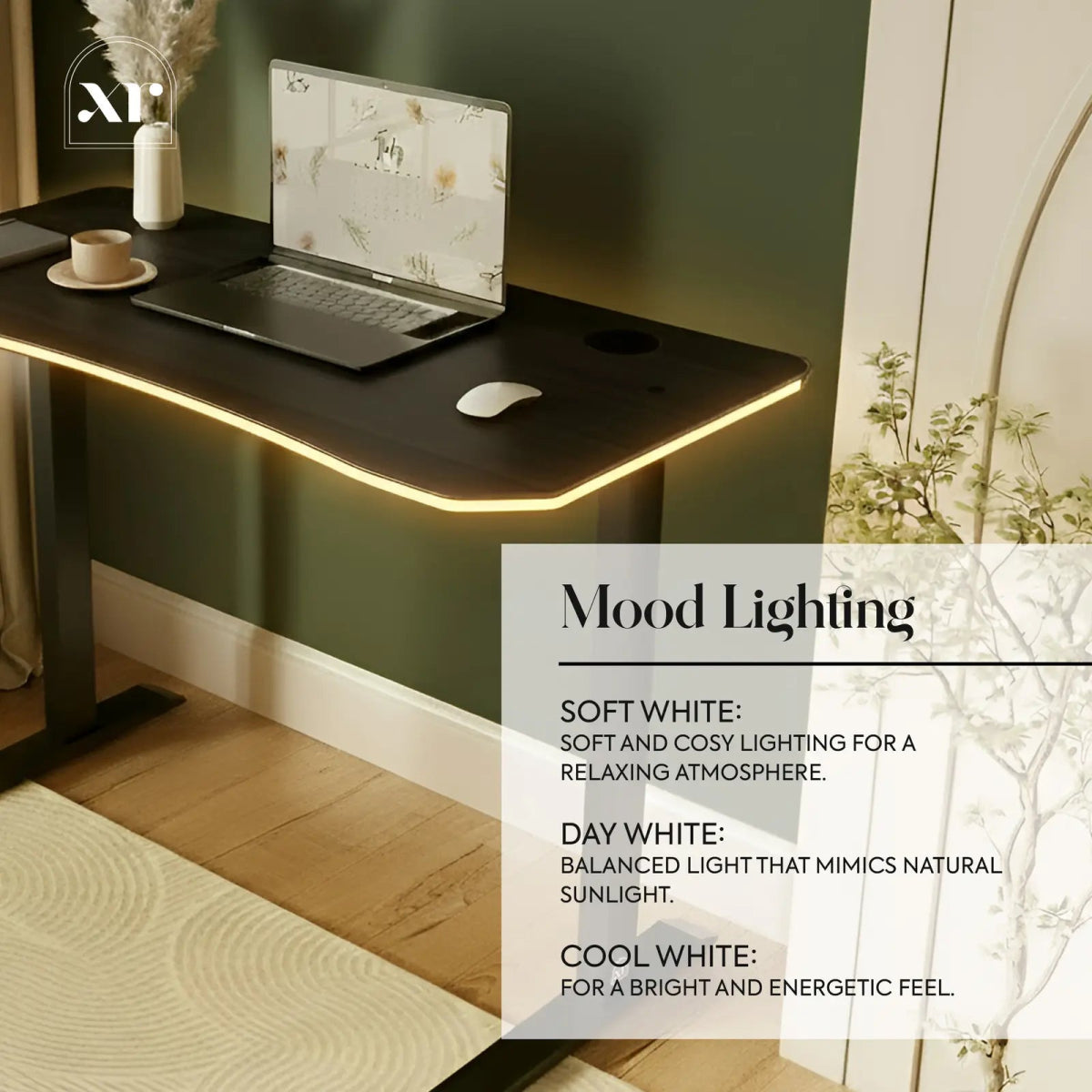 Oka LED Office Desk with Wireless Charging - Ash Black RGB (2 Sizes) - XR LivingOffice Desk